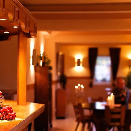 Waldhotel 3* Bad Bibra