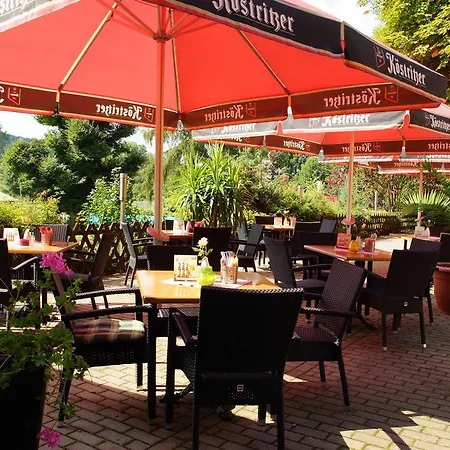 Waldhotel 3* Bad Bibra